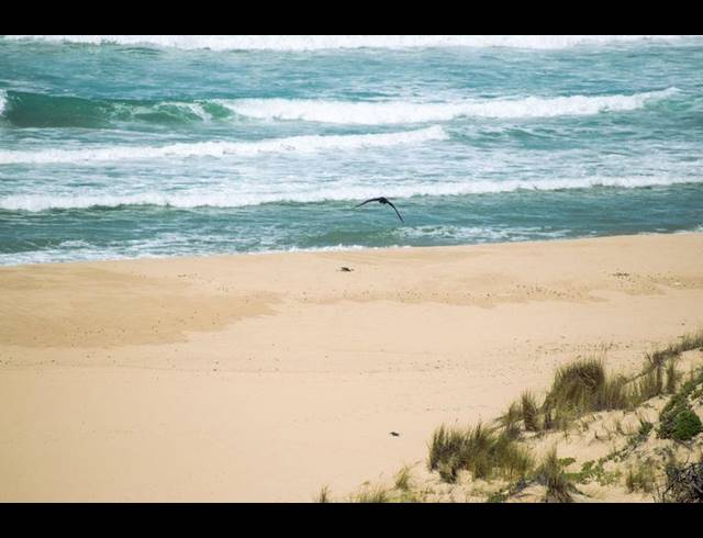 LAND FOR SALE IN MOQUINI